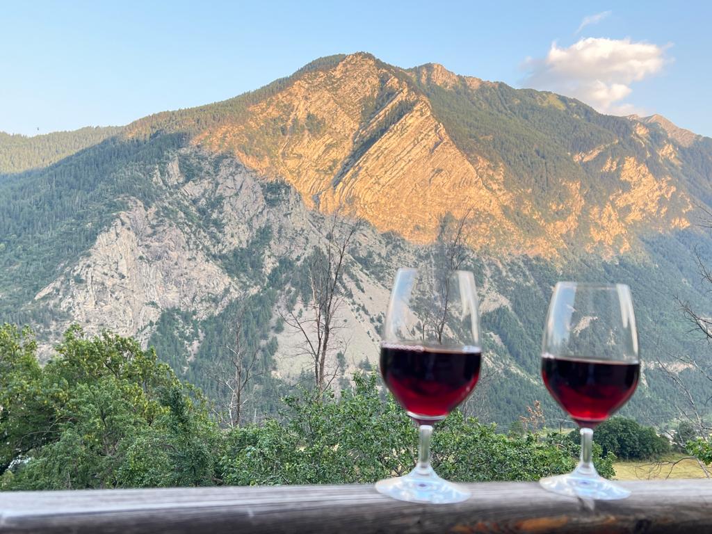 Gagnants du concours photos 2022/2023 sur la vigne en Haute Durance