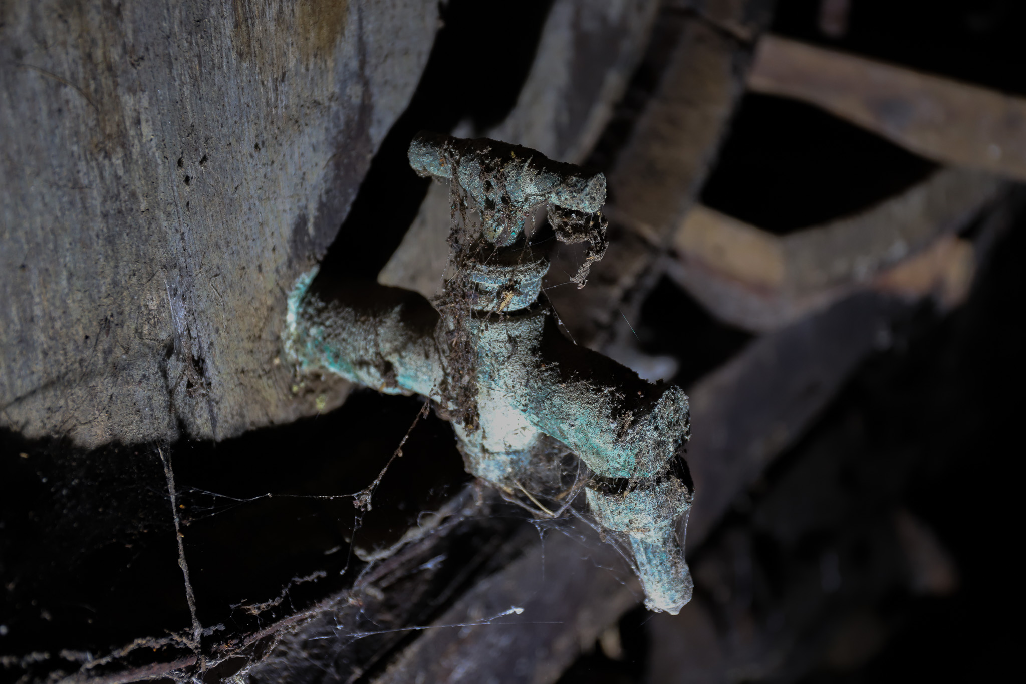 Gagnants du concours photos 2022/2023 sur la vigne en Haute Durance