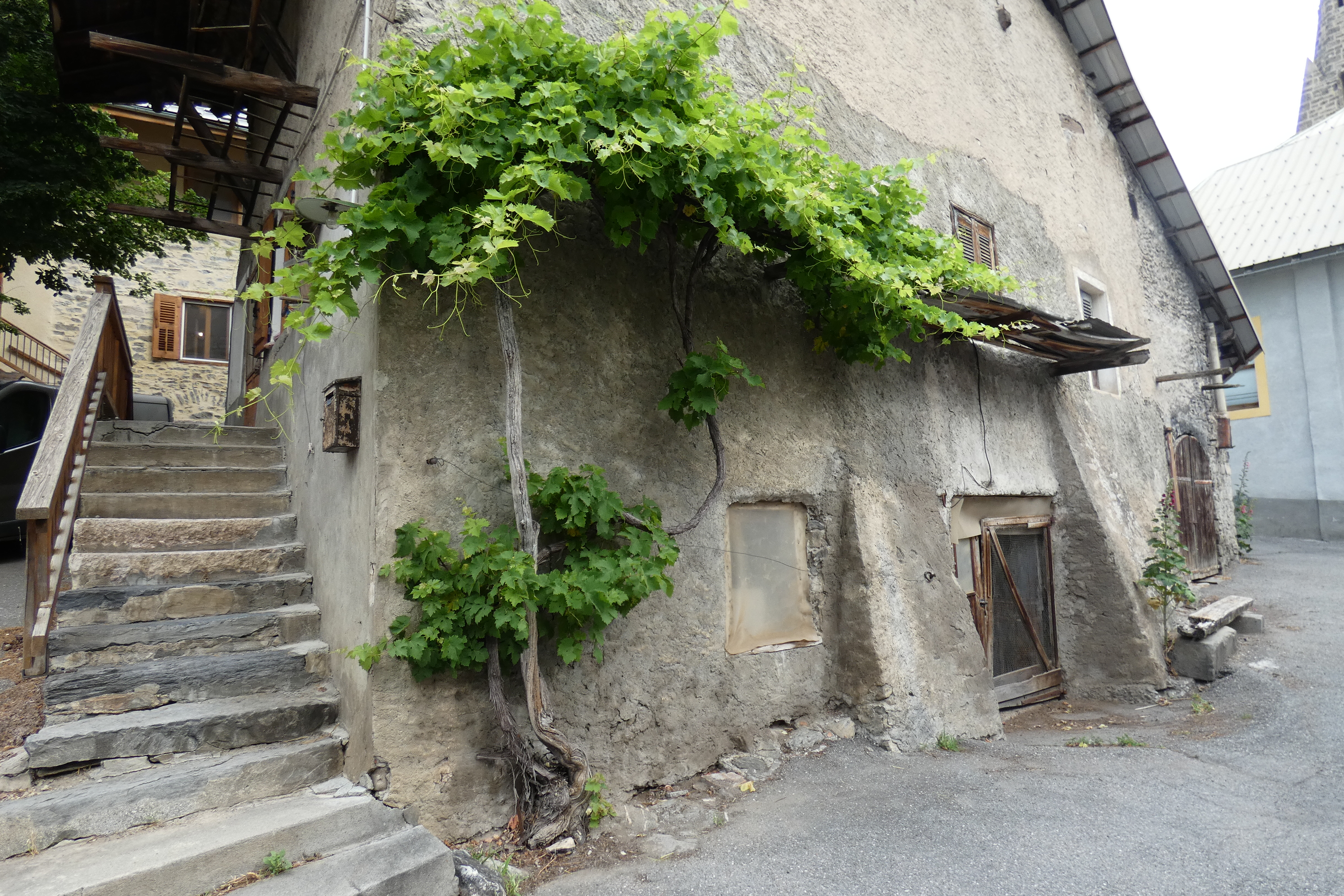 Gagnants du concours photos 2022/2023 sur la vigne en Haute Durance