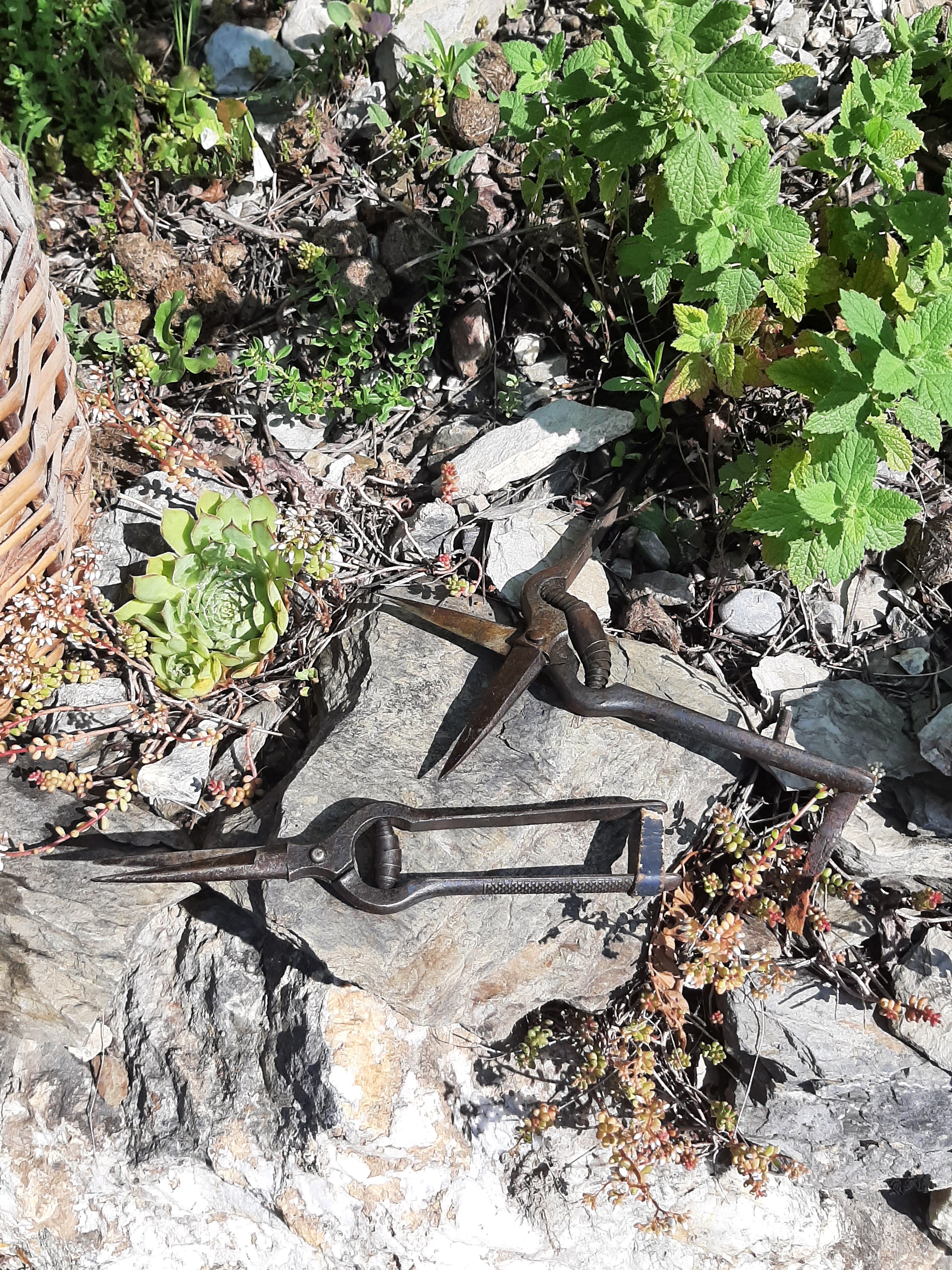 Gagnants du concours photos 2022/2023 sur la vigne en Haute Durance