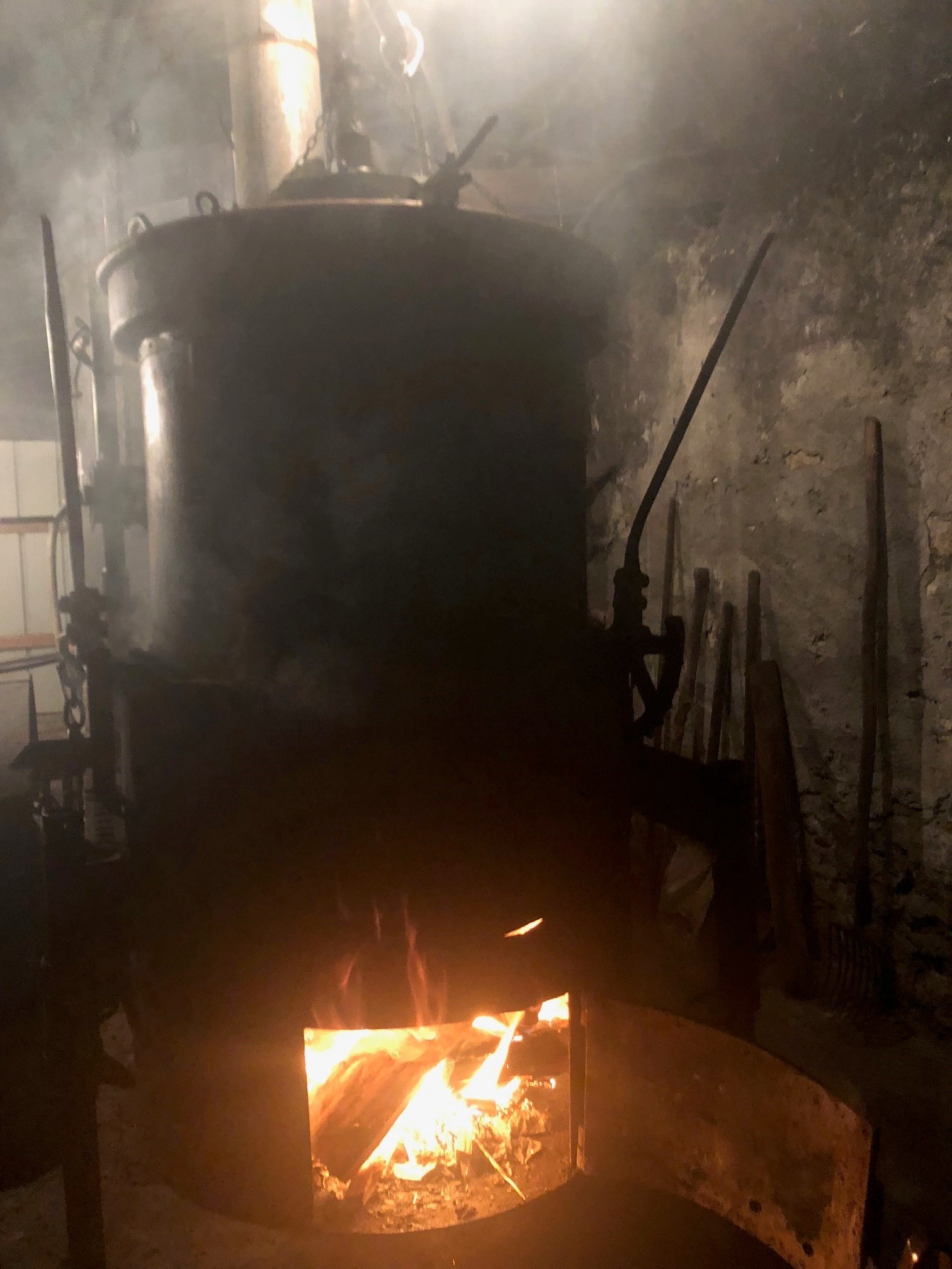 Gagnants du concours photos 2022/2023 sur la vigne en Haute Durance