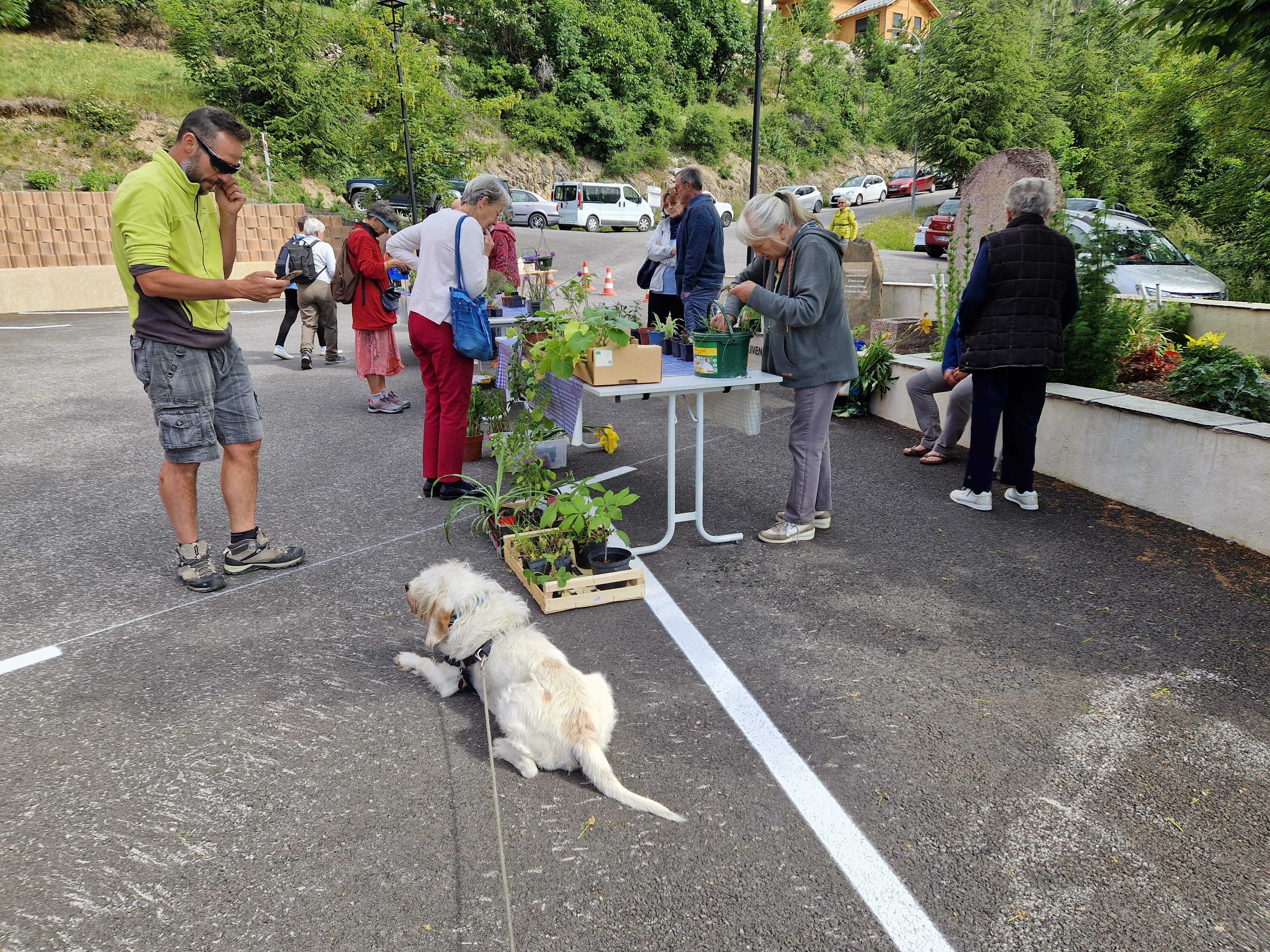 Le troc vert a réuni