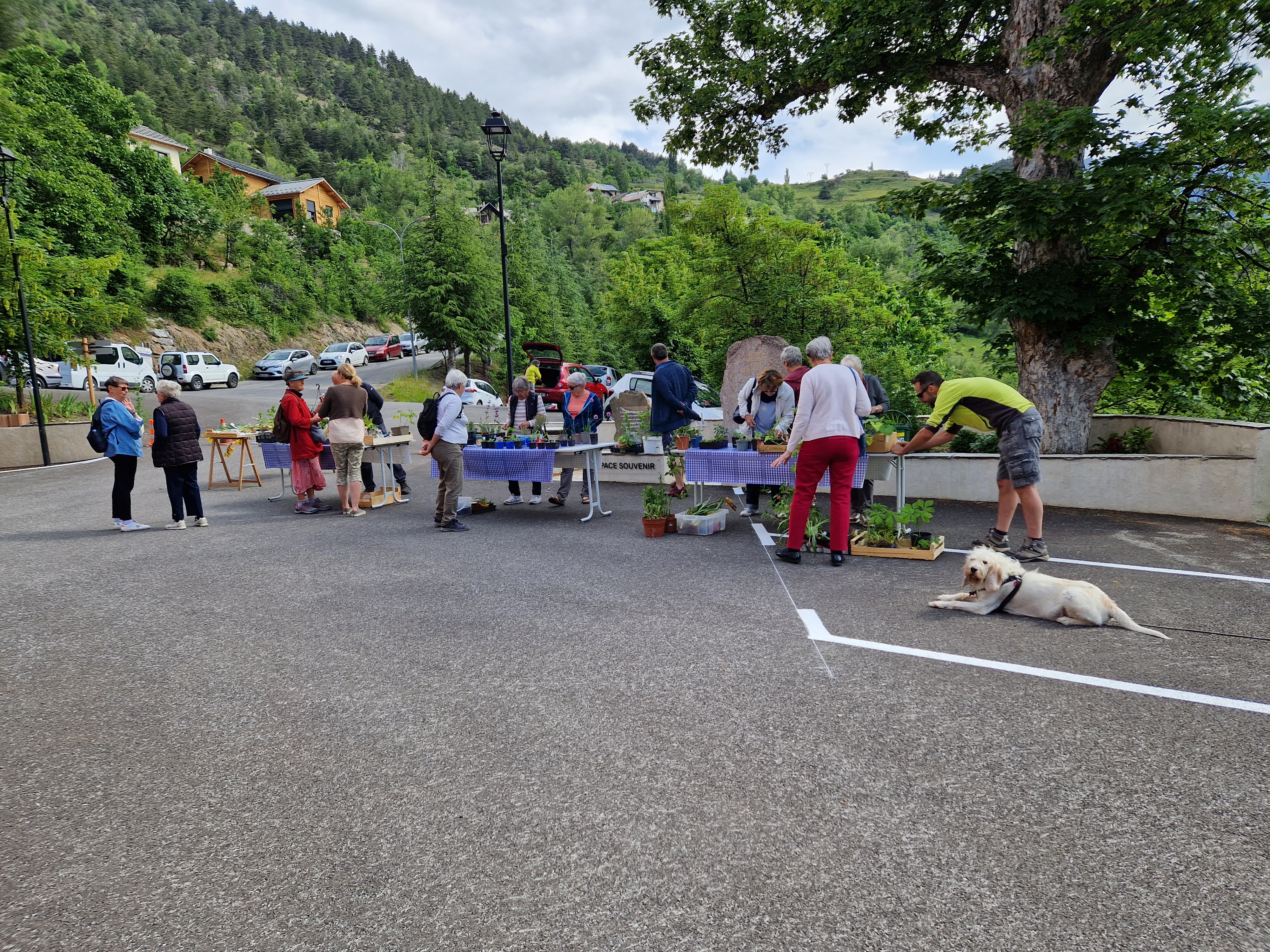 Le troc vert a réuni