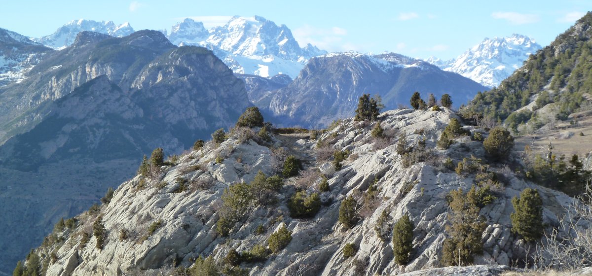 Forêt des genévriers thurifères